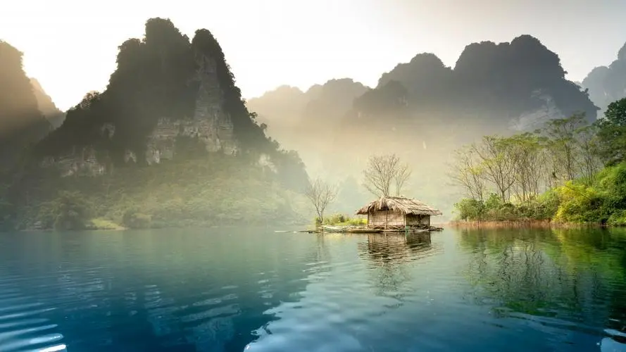 网络化独特可靠性